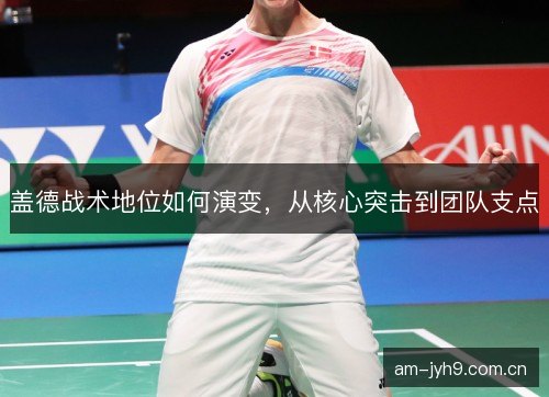 盖德战术地位如何演变,从核心突击到团队支点 盖德战术地位如何演变,从核心突击到团队支点